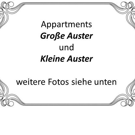 Auster-Appartements Saarbruecken Exterior photo